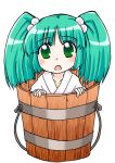  girl_in_bucket green_eyes green_hair hair_bobbles hair_ornament in_bucket in_container kisume tougall touhou twintails 