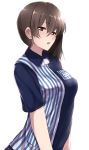  1girl alternate_costume arms_at_sides breasts brown_eyes brown_hair employee_uniform highres kaga_(kantai_collection) kantai_collection large_breasts lawson long_hair looking_at_viewer parted_lips side_ponytail striped_blouse tai_(nazutai) uniform upper_body 