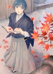  1boy blue_eyes blue_hair book creamyya eyebrows eyebrows_visible_through_hair hakama holding holding_book japanese_clothes kaito leaf looking_up male_focus open_book sandals tabi tree_branch vocaloid 