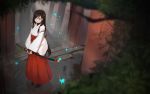  1girl black_hair blue_eyes bridal_gauntlets butterfly caang_yue_xue_feeng forest hakama highres holding holding_sword holding_weapon japanese_clothes katana long_hair miko nature original outdoors red_hakama sheath sheathed solo sword weapon white_kimono 