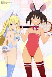  2girls absurdres animal_ears ball bare_shoulders blonde_hair blue_eyes blue_legwear blush bow bowtie breasts brown_eyes brown_hair bunny_girl bunnysuit detached_collar elizabeth_warren female flat_chest grin highleg highres holding katou_hatsue long_hair looking_at_viewer looking_back megami multiple_girls official_art rabbit_ears racket red_legwear sawanatsu_kotone short_hair short_twintails single_vertical_stripe small_breasts smile softenni standing teeth tennis_racket thigh-highs twintails wrist_cuffs 