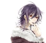  1boy blue_hair fabulous fur_collar fur_trim highres jacket koide_natsuno male_focus moriumeda nail_polish purple_hair purple_nails red_eyes shiki solo takashi_(moriumeda) 