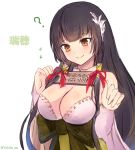  1girl ? bare_shoulders black_hair blush breasts brown_eyes cleavage detached_sleeves flying_sweatdrops hair_ornament kantai_collection long_hair mizuho_(kantai_collection) simple_background smile solo translation_request white_background yukihama 