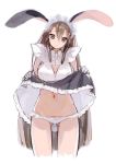  1girl :&lt; animal_ears bow bow_panties brown_eyes brown_hair commentary_request dress dress_lift gloves gluteal_fold hair_between_eyes highres long_hair looking_at_viewer lowleg lowleg_panties maid maid_headdress navel panties pantsu_no_hi rabbit_ears shigi_0 simple_background underwear white_background white_panties 