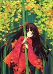  1girl absurdres bamboo bamboo_forest black_hair blue_eyes forest highres itou_noiji japanese_clothes kimono long_hair nature original solo 