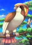  forest lowres mountain nature pidgeot pidgeotto pidgey pixiv pokemon tree 