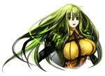  1girl :d breasts brown_hair green_hair large_breasts long_hair open_mouth orange_eyes original pupps smile solo 