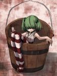  1girl bad_id bucket girl_in_bucket green_eyes green_hair hair_bobbles hair_ornament in_bucket in_container kisume kuronuko_neero long_legs striped striped_legwear striped_thighhighs thigh-highs thighhighs touhou twintails 