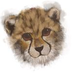  cheetah fur original simple_background sketch yukihiro 