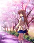  brown_eyes brown_hair cherry_blossoms chocolat clannad girl_from_the_illusionary_world long_hair looking_back okazaki_ushio older school_uniform sparkle spoilers walking 