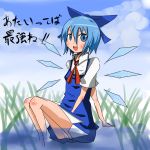  blue_eyes blue_hair bow cirno female silver_fox the_embodiment_of_scarlet_devil touhou 