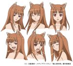  angry animal_ears brown_hair closed_eyes expressions holo long_hair nude official_art production red_eyes sketch smile spice_and_wolf surprised tail wink 