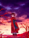  1girl asaki_takayuki brown_hair flower geta japanese_clothes kimono kurame kusari_hime:_euthanasia long_hair looking_back ponytail red_eyes ripples sandals sky slit_pupils smile solo spider_lily staring sunset tengu-geta water 