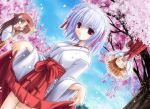  3girls cherry_blossoms japanese_clothes kotonomiya_yuki miko miyashiro_karin multiple_girls noritama_(gozen) red_hakama sky suigetsu yamato_suzuran 