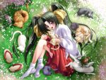  1girl animal cat cherry_blossoms japanese_clothes long_hair miko noritama_(gozen) original petals red_hakama smile solo tabi 