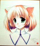  1girl animal_ears cat_ears green_eyes lowres ryouka_(suzuya) solo 