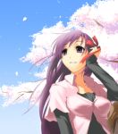  1girl cherry_blossoms fate/stay_night fate_(series) hair_ribbon long_hair matou_sakura nilitsu object_namesake purple_hair ribbon solo violet_eyes 