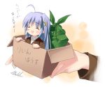  1girl blue_hair blush box cardboard_box closed_eyes hair_ornament in_box in_container kantoku long_hair lyrical_nanoha mahou_shoujo_lyrical_nanoha mahou_shoujo_lyrical_nanoha_strikers military military_uniform minigirl reinforce_zwei solo translation_request uniform x_hair_ornament 