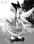  1girl cirno dress dress_lift female from_behind monochrome skirt skirt_lift solo takahero the_embodiment_of_scarlet_devil touhou wading water wings 