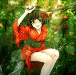  in_tree japanese_clothes kimono nature original short_kimono sitting sitting_in_tree torazou tree 