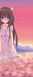  1girl animal_ears blue_eyes blush brown_hair clouds collarbone dog_ears dress kayune_niu long_hair looking_at_viewer outdoors sad sky solo standing sunset tears very_long_hair wading water wet wet_clothes 