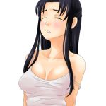  00s 1girl breasts cleavage half_updo hosokawa_kanako lowres maria-sama_ga_miteru solo strap_slip sweat sweating toshifumi 