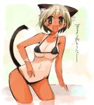  animal_ears bikini cat_ears cat_tail momiji_mao swimsuit tail tan 