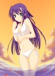  1girl bikini blush front-tie_top ginga_nakajima green_eyes long_hair lyrical_nanoha mahou_shoujo_lyrical_nanoha mahou_shoujo_lyrical_nanoha_strikers navel petals purple_hair saki_chisuzu side-tie_bikini solo swimsuit wading water white_bikini white_swimsuit 