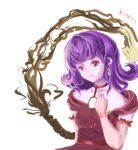  1girl female purple_hair red_eyes rope shimenawa short_hair solo touhou yasaka_kanako 