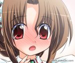  1girl :o blush brown_hair hayate_no_gotoku! maid maid_headdress maria_(hayate_no_gotoku!) open_mouth portrait red_eyes short_hair solo watermark watsuki_ayamo web_address 