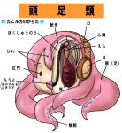  anatomy ass cross-section cross_section headset megurine_luka multi_anus no_humans science takoluka tentacles translated translation_request vocaloid 