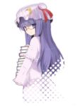  bespectacled book braid crescent glasses hat long_hair patchouli_knowledge purple_eyes purple_hair solo touhou violet_eyes 