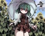  belt camera flower gatau green_hair hat kazami_yuuka nature parasol plaid plaid_skirt plaid_vest red_eyes shameimaru_aya short_hair skirt skirt_set smile sunflower touhou umbrella 