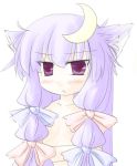  animal_ears cat_ears natsuki_(silent_selena) patchouli_knowledge purple_eyes purple_hair silent_selena touhou violet_eyes 