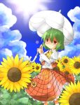  ascot bad_id cloud flower flower_field green_hair kazami_yuuka nature parasol plaid plaid_skirt plaid_vest red_eyes shade short_hair skirt skirt_set sunflower touhou umbrella 