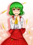  green_hair kawajuu kazami_yuuka petals plaid plaid_skirt plaid_vest red_eyes short_hair skirt skirt_set tears touhou 