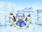  bird cirno female penguin perfect_cherry_blossom snow touhou translated 