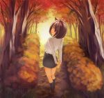  1girl animal_ears autumn back bangs cat_ears female looking_at_viewer looking_back maimu nature original outdoors scenery solo 