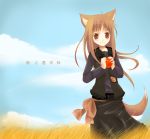  1girl animal_ears apple food fruit holding holding_fruit holo kayune_niu solo spice_and_wolf tail wolf_ears 