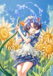  flower hose kantaka maid sunflower 