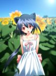  animal_ears arms_behind_back blue_hair blurry cat_ears depth_of_field dress flower long_hair open_mouth original ponytail red_eyes sun sundress sunflower yasu yasuyuki 