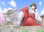  1girl 2boys black_eyes black_hair cherry_blossoms debris destruction eichikei_(hakuto) feet footwear foreshortening giantess hakama hitodama japanese_clothes miko miniboy multiple_boys one_eye_closed open_mouth red_hakama rope rubble ruins shide shimenawa shrine socks tabi tears torii wince wink 