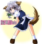  1girl animal_ears asou_shin braid dog_ears dog_tail female inu_sakuya izayoi_sakuya kemonomimi_mode short_hair silver_hair solo tail touhou twin_braids 