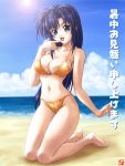  1girl aqua_eyes beach bikini blue_hair kagehara_hanzou long_hair original shochuumimai solo swimsuit 