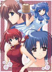  4girls apron bamboo_steamer baozi braid china_dress chinese_clothes double_bun dress dumpling food genderswap genderswap_(mtf) kuonji_ukyou multiple_girls nikuman nishimata_aoi ranma-chan ranma_1/2 saotome_ranma shampoo_(ranma_1/2) single_braid tendou_akane waitress 