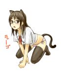  1girl all_fours amagai_tarou animal_ears cat_ears cat_tail glasses lowres no_pants original panties side-tie_panties solo striped striped_panties tail thigh-highs underwear 
