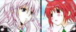  2girls aoi_nagisa hanazono_shizuma multiple_girls strawberry_panic! 