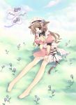  1girl animal_ears brown_hair cat_ears cat_tail flower long_hair original solo tail tatekawa_mako violet_eyes waitress 