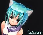  1girl animal_ears cat_ears refeia solo twit-tan twitter 