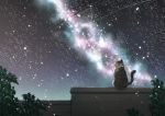  cat contemplation from_behind kazuki_ren milky_way night night_sky no_humans sitting sky star star_(sky) starry_sky 